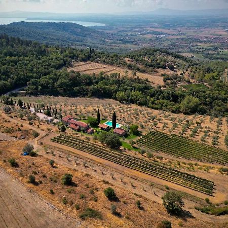 Vila Tenuta Angelici Winery Agriturismo Henni With Pool Sauna And Jacuzzi Cortona Exteriér fotografie