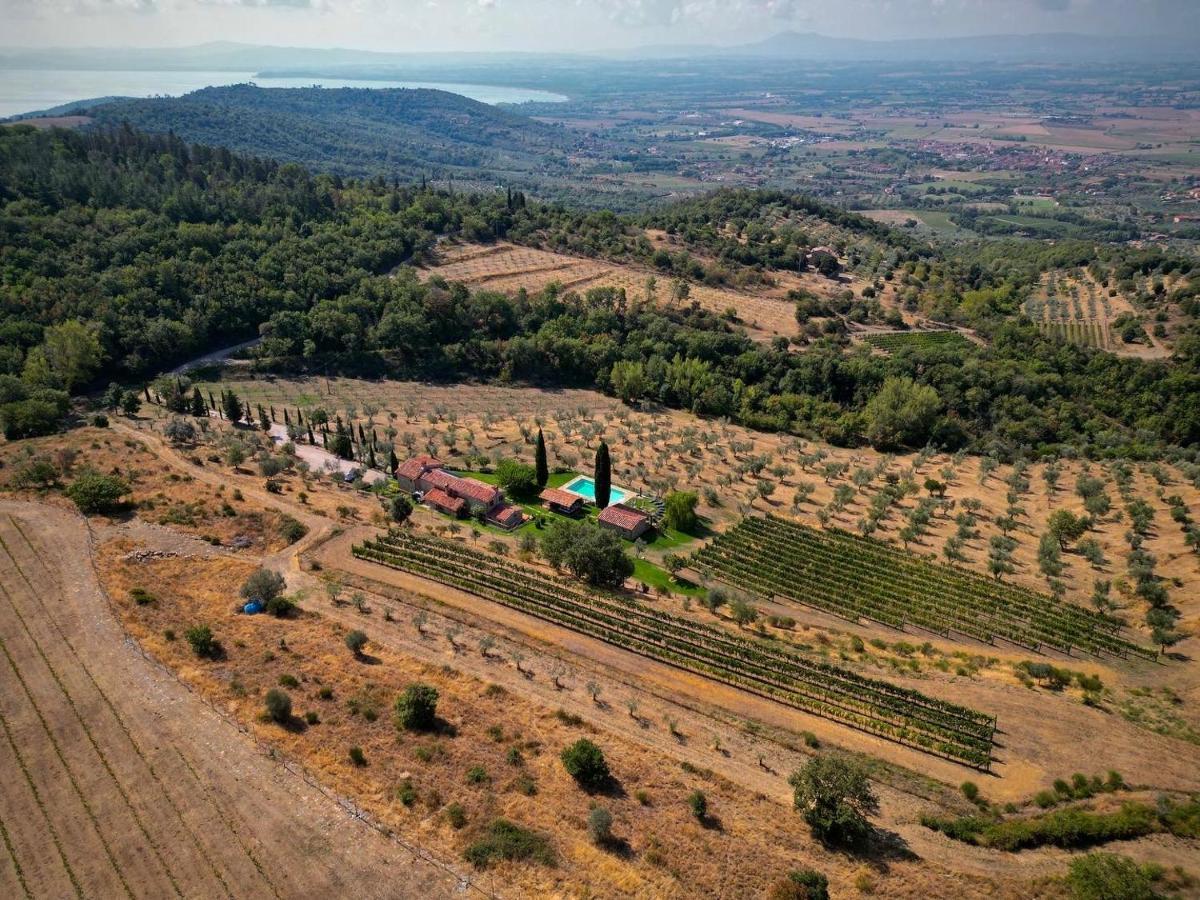 Vila Tenuta Angelici Winery Agriturismo Henni With Pool Sauna And Jacuzzi Cortona Exteriér fotografie