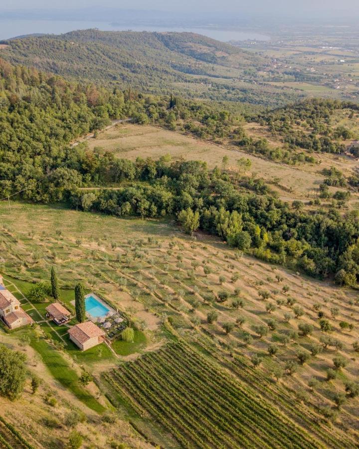 Vila Tenuta Angelici Winery Agriturismo Henni With Pool Sauna And Jacuzzi Cortona Exteriér fotografie